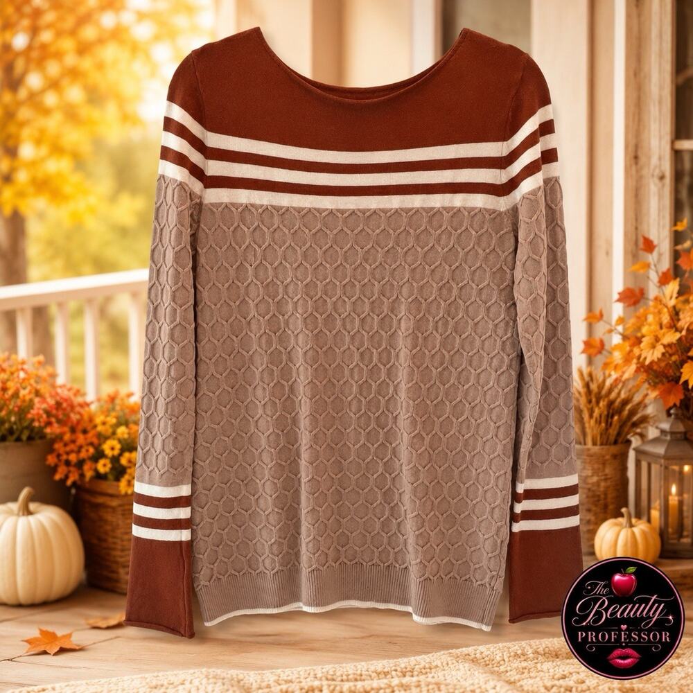 Womens XL Rust Taupe Colorblock Textured Knit Sweater Long Sleeve Fall💋